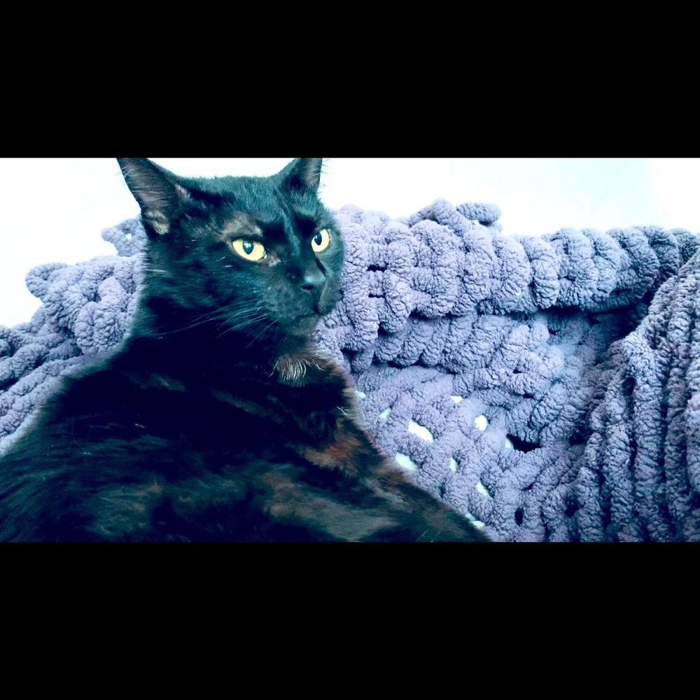 Meet your Posher, Shari